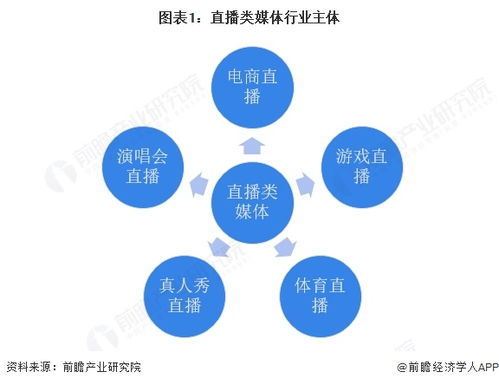 2025年中國傳媒行業(yè)細分市場分析 技術賦能與垂類深耕驅(qū)動下的網(wǎng)絡技術開發(fā)生態(tài)