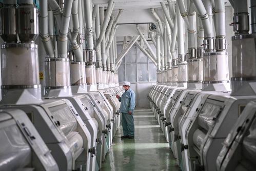 齊魯原創技術交流 在傳統中激發創新的張力